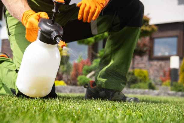 Best Pest Control for Businesses  in USA